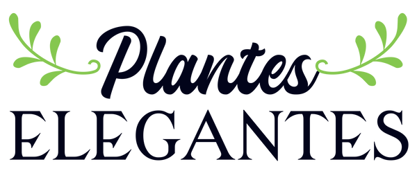 Plantes Elégantes 